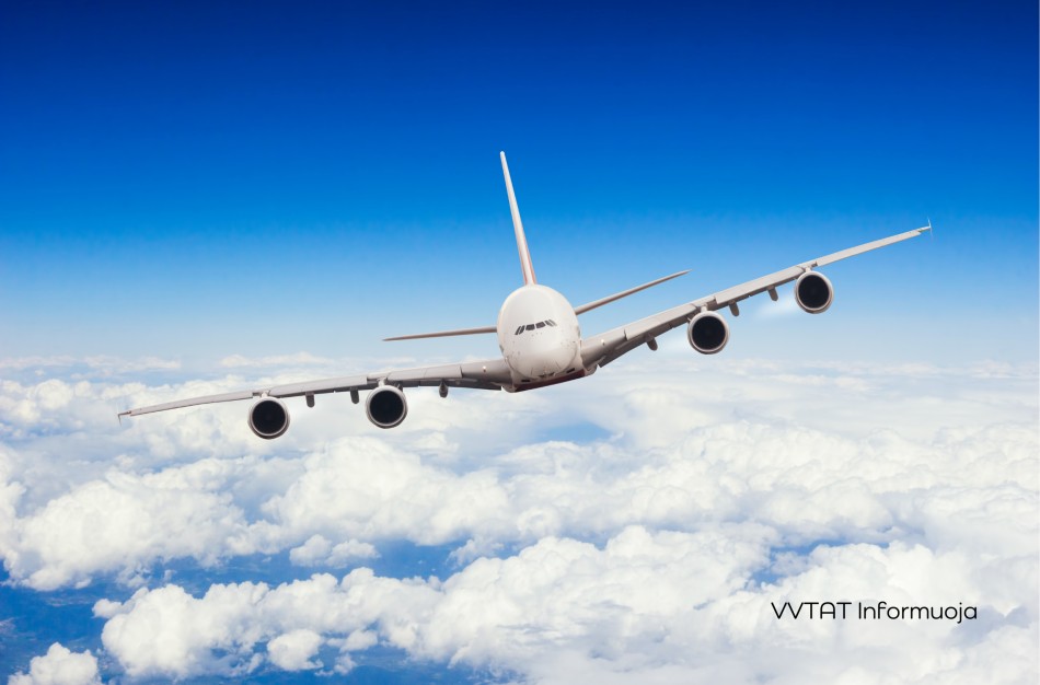 Siūlo deportuoti užsieniečius už visus tyčinius nusikaltimus