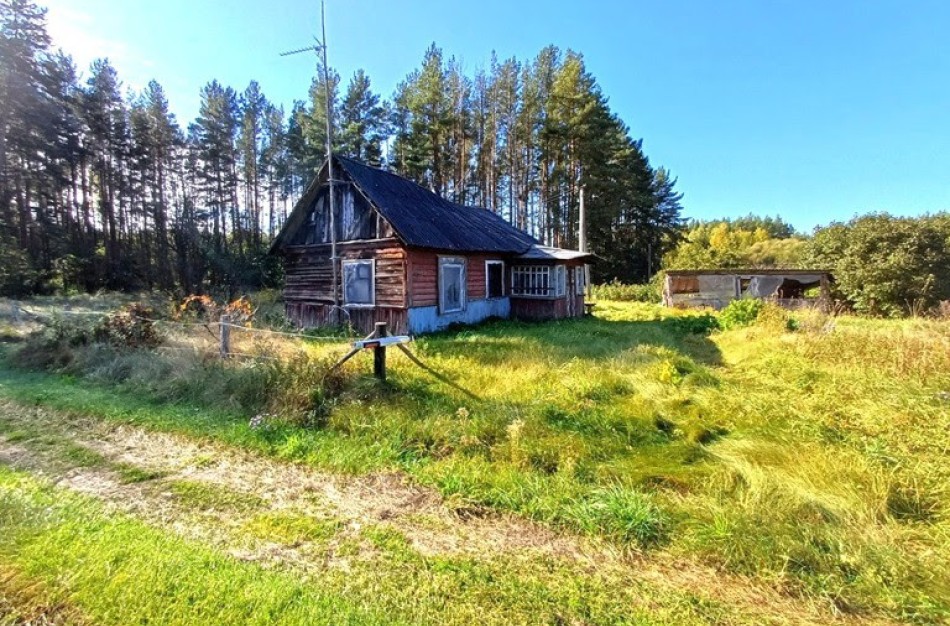 Gal reikia gyvenamo namo su pagalbiniais ūkio pastatais ir žemės sklypu Dumsiuose už mažiau nei 6 tūkstančius eurų?