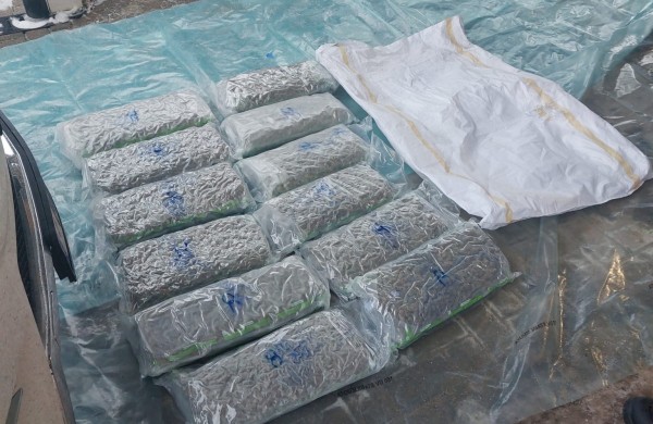 Kriminalistų rankose įspūdingi kiekiai kanapių jonaviečio garaže