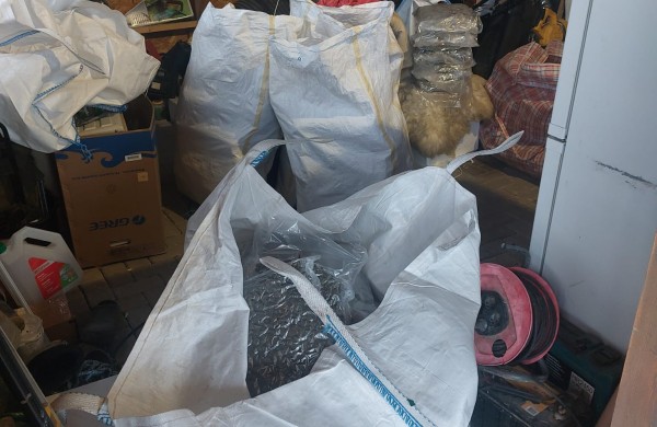 Kriminalistų rankose įspūdingi kiekiai kanapių jonaviečio garaže 