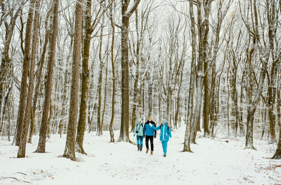 Pramogos miške žiemą: kokios baudos už reikalavimų nesilaikymą