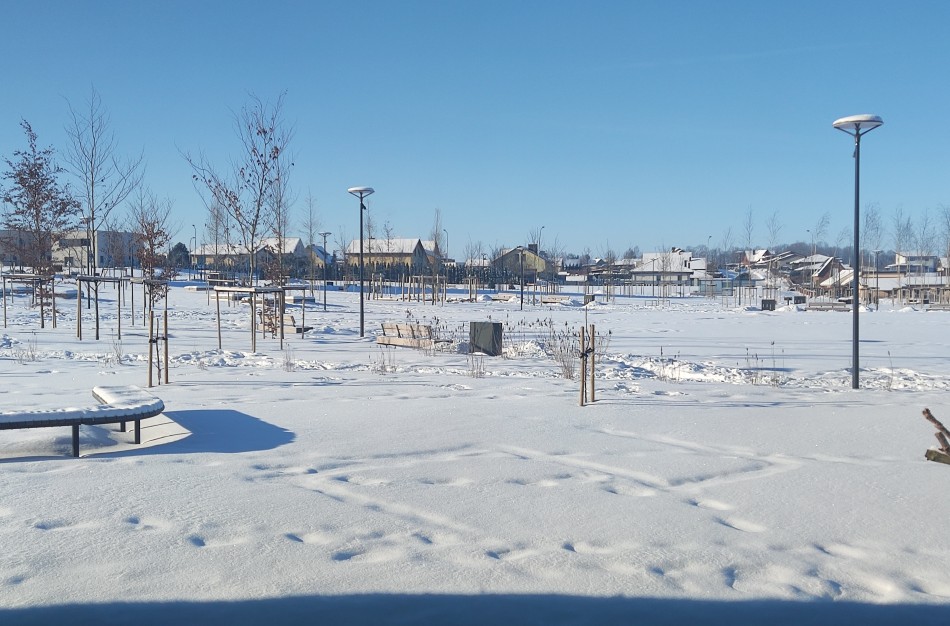 Visą Lietuvą sukaustęs šaltis neaplenkė ir Jonavos