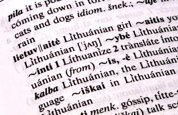 Paskelbtos vertingiausios 2025 m. lietuviškos knygos  