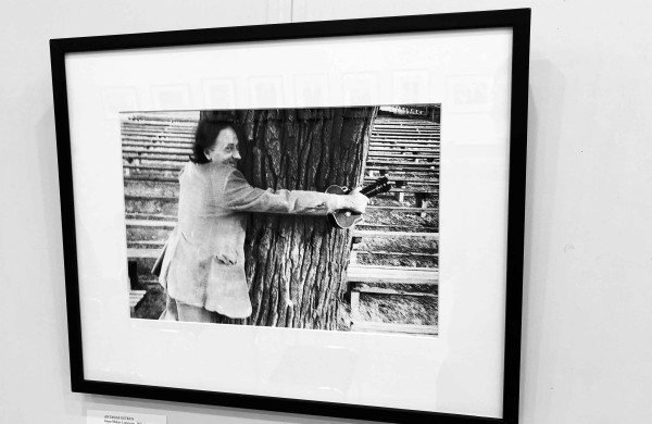 G. Drukteinis imasi pasaulyje garsių su Lietuva susijusių asmenybių įamžinimo