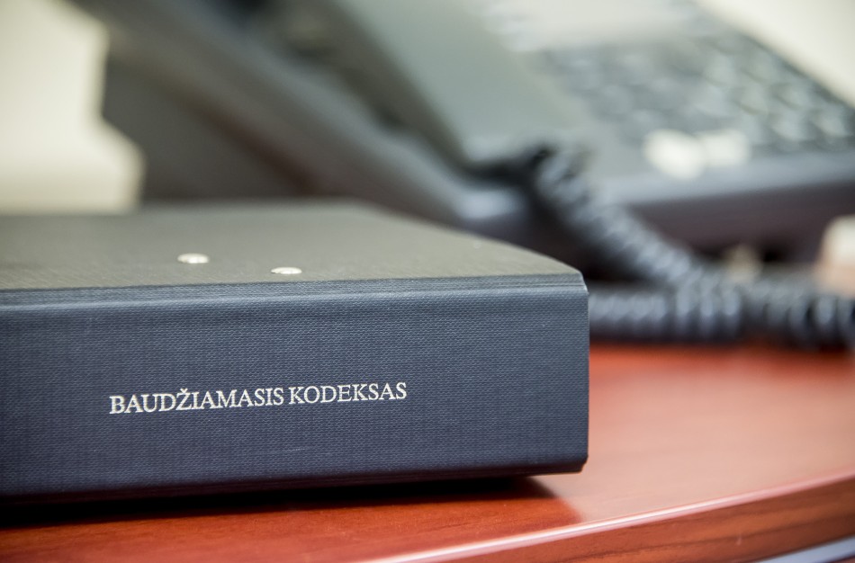 Teismas buvusią kandidatę į Seimą pripažino kalta dėl įvairių nusikalstamų veikų