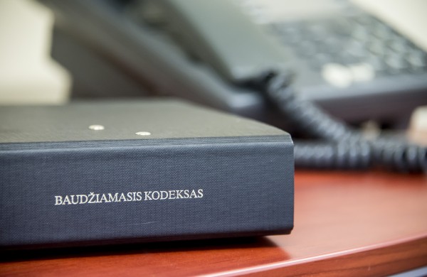 Teismas buvusią kandidatę į Seimą pripažino kalta dėl įvairių nusikalstamų veikų