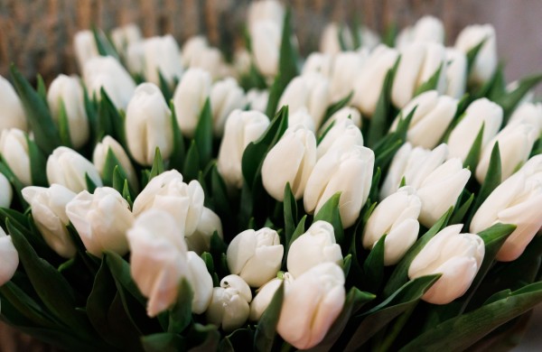 Savivaldybė kviečia siūlyti kandidates „Metų jonavietės“ nominacijai laimėti 