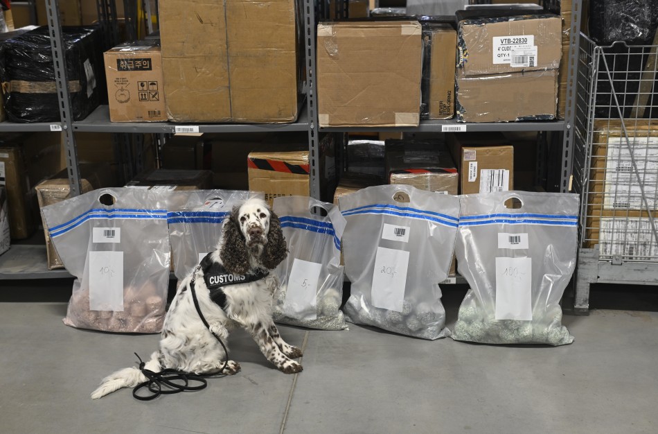 Jogai – maišai eurų: treniruotėms Lietuvos bankas perdavė supjaustytas kupiūras 