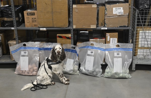 Jogai – maišai eurų: treniruotėms Lietuvos bankas perdavė supjaustytas kupiūras 