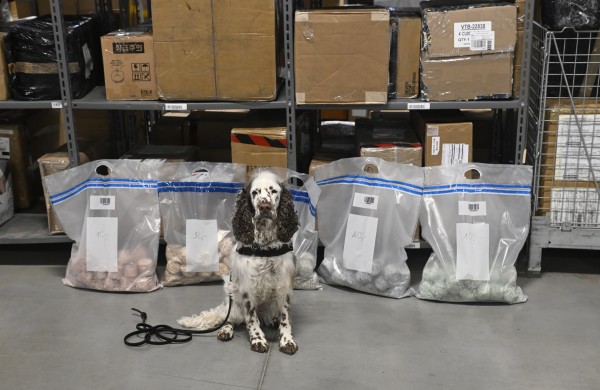 Jogai – maišai eurų: treniruotėms Lietuvos bankas perdavė supjaustytas kupiūras 