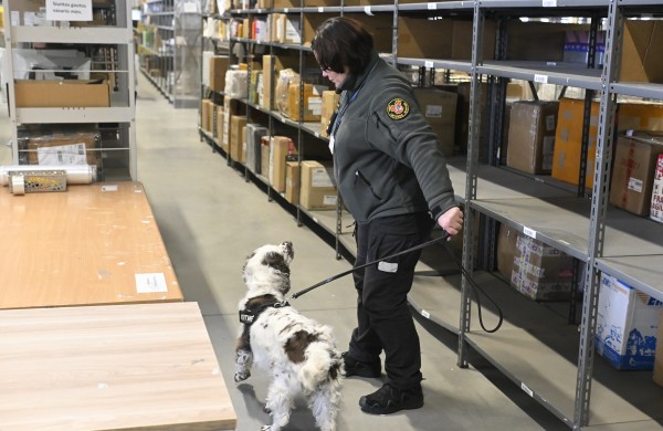 Jogai – maišai eurų: treniruotėms Lietuvos bankas perdavė supjaustytas kupiūras 