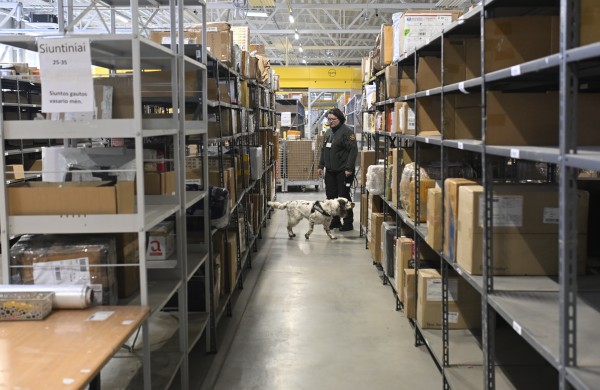 Jogai – maišai eurų: treniruotėms Lietuvos bankas perdavė supjaustytas kupiūras 