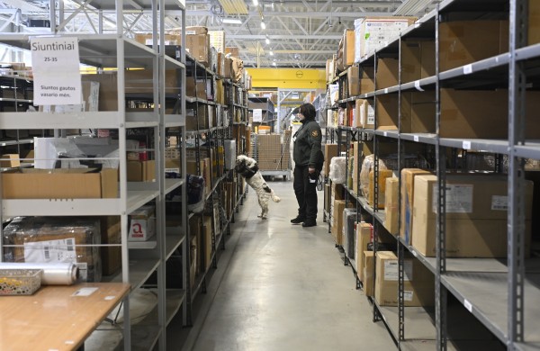 Jogai – maišai eurų: treniruotėms Lietuvos bankas perdavė supjaustytas kupiūras 