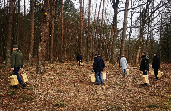 Namai sugrįžtantiems paukščiams: ką reikia žinoti prieš keliant inkilus