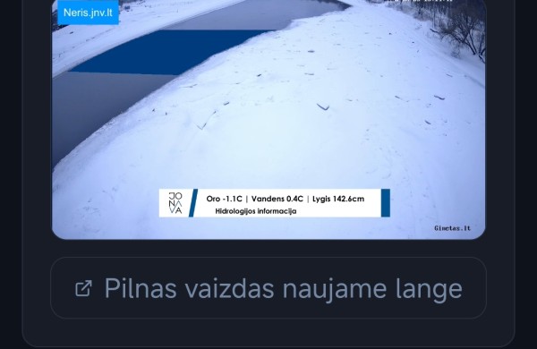 Vyriausybė patvirtino valstybinį potvynio rizikos valdymo priemonių planą. Jonavoje Neries lygį stebėkite tiesiogiai