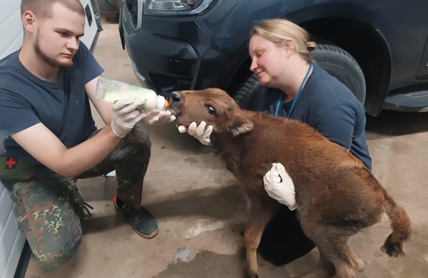 Laukinių gyvūnų globos centras pernai pagalbą suteikė beveik 2,5 tūkst. gyvūnų