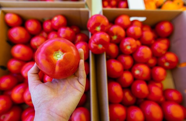 Mugių sezonas prasideda: ką privaloma žinoti?