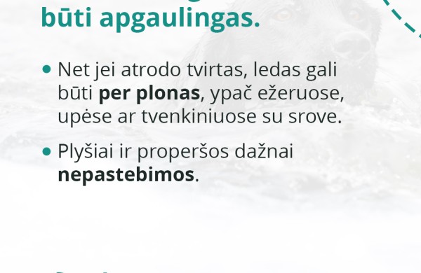 Tirpstantis ledas ant vandens telkinių pavojingas ne tik žmonėms, bet ir gyvūnams: kaip apsaugoti savo augintinius?