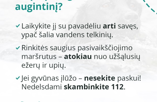 Tirpstantis ledas ant vandens telkinių pavojingas ne tik žmonėms, bet ir gyvūnams: kaip apsaugoti savo augintinius?