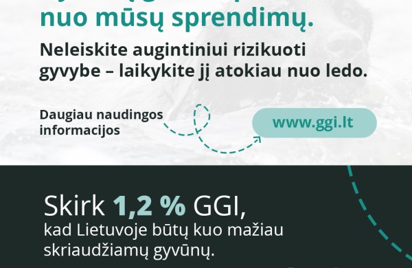 Tirpstantis ledas ant vandens telkinių pavojingas ne tik žmonėms, bet ir gyvūnams: kaip apsaugoti savo augintinius?