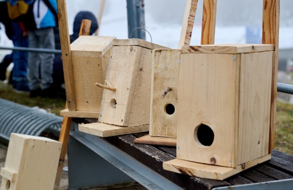 Jonavoje – rekordinė „Inkilų“ akcija: Joninių tvenkinio pakrantė pretenduoja tapti „Paukščių taku“