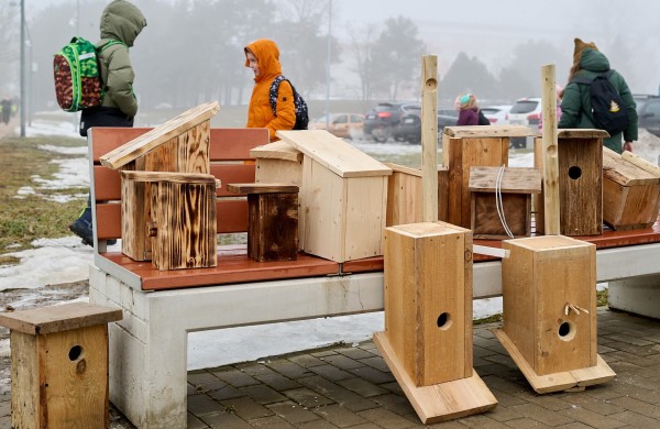 Jonavoje – rekordinė „Inkilų“ akcija: Joninių tvenkinio pakrantė pretenduoja tapti „Paukščių taku“