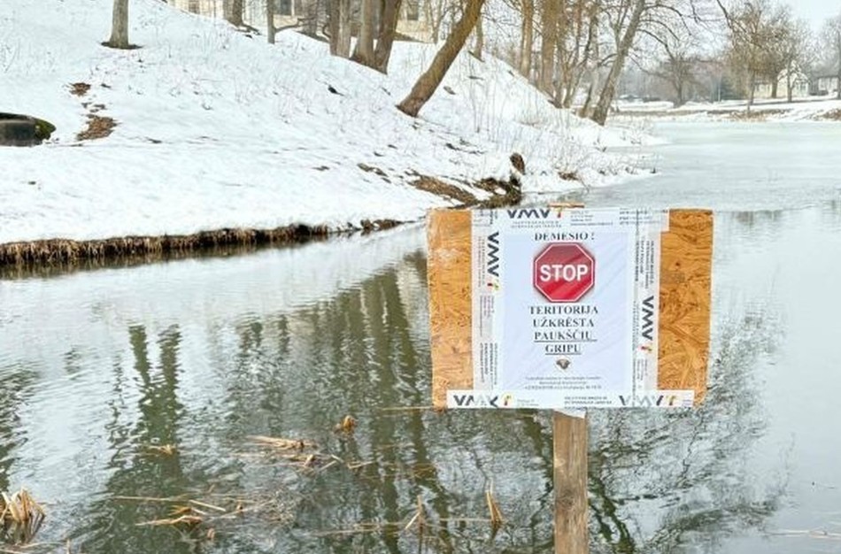 VMVT įspėja saugoti naminius paukščius: paukščių gripas jau paplitęs tarp vandens paukščių