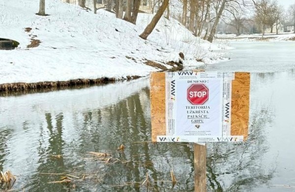 VMVT įspėja saugoti naminius paukščius: paukščių gripas jau paplitęs tarp vandens paukščių