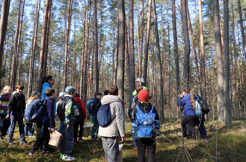 Paukščiai grįžta namo“: visoje Lietuvoje tęsiama šimtametė inkilų kėlimo tradicija