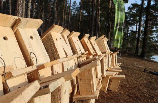 Paukščiai grįžta namo“: visoje Lietuvoje tęsiama šimtametė inkilų kėlimo tradicija