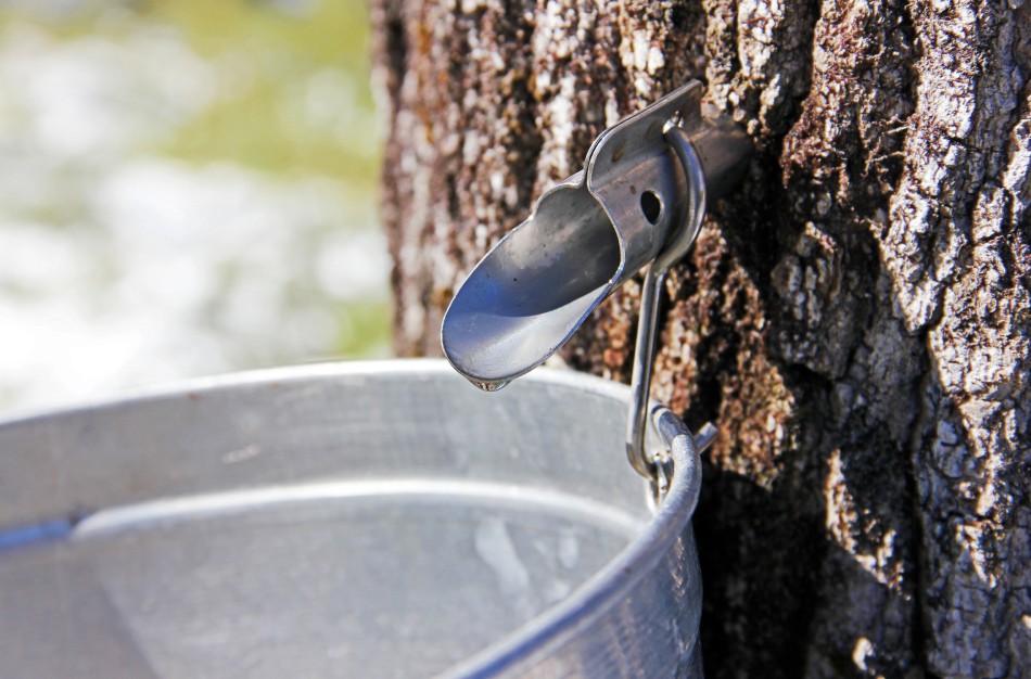 Prasideda sulos leidimo sezonas: ką svarbu žinoti?