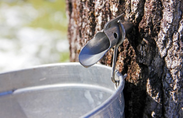 Prasideda sulos leidimo sezonas: ką svarbu žinoti?