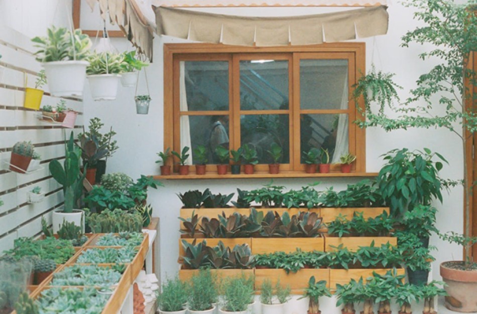 Kaip pasirinkti sodo namelio dydį pagal sklypo plotą ir paskirtį?