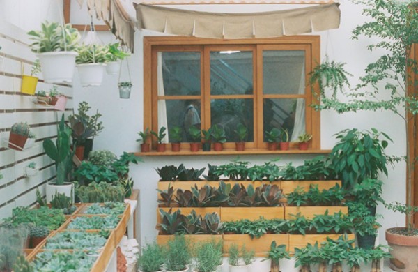 Kaip pasirinkti sodo namelio dydį pagal sklypo plotą ir paskirtį?