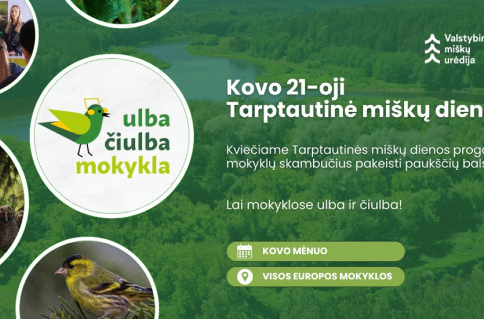 Mokyklų skambučius pakeis paukščių balsai: „Ulba čiulba mokykla“ tampa tarptautiniu projektu