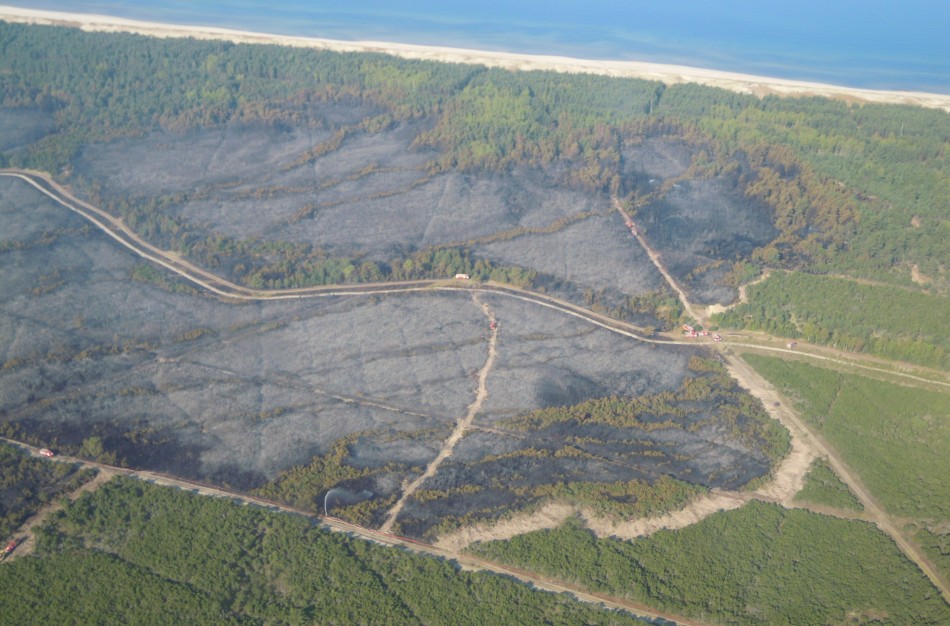 Ugniagesiai gelbėtojai įspėja: žolės gaisrai – pavojus gamtai ir žmonėms