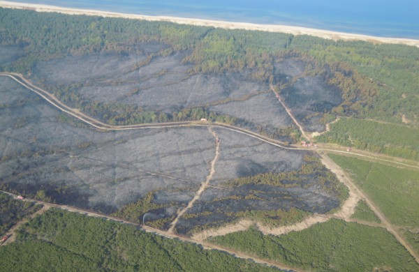 Ugniagesiai gelbėtojai įspėja: žolės gaisrai – pavojus gamtai ir žmonėms
