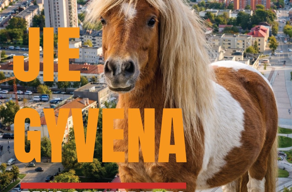 VMVT įspėja: perteklinis lepinimas žaloja gyvūnus – laminito pavojus arkliams ir poniams