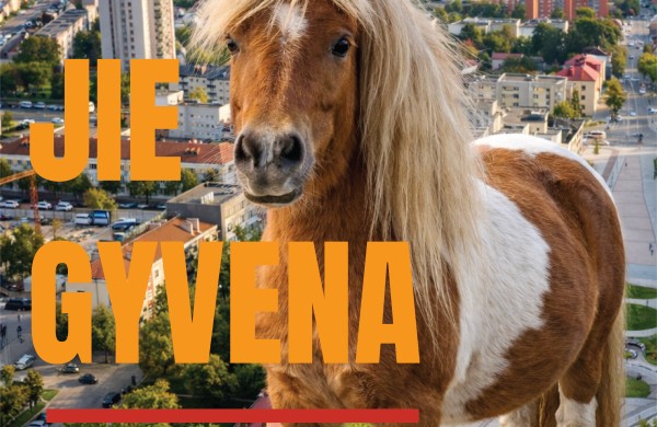 VMVT įspėja: perteklinis lepinimas žaloja gyvūnus – laminito pavojus arkliams ir poniams