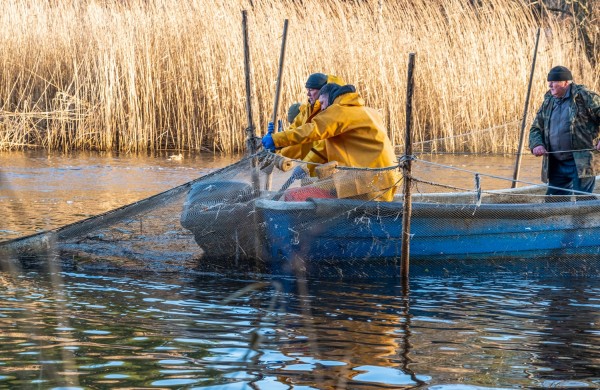Naujos vertybės gyvojo paveldo sąvade: nuo šimtametės muzikos iki archajiškos žvejybos paslapčių