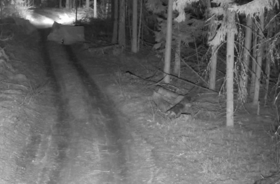 Trečiadienį į Lietuvą neįleistas rekordinis migrantų skaičius, būta ir iki šiol nematytų vaizdų