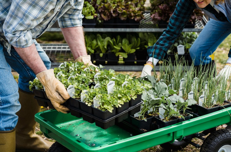 Apsauga nuo retos, bet pavojingos stabligės – periodiškai atnaujinami skiepai