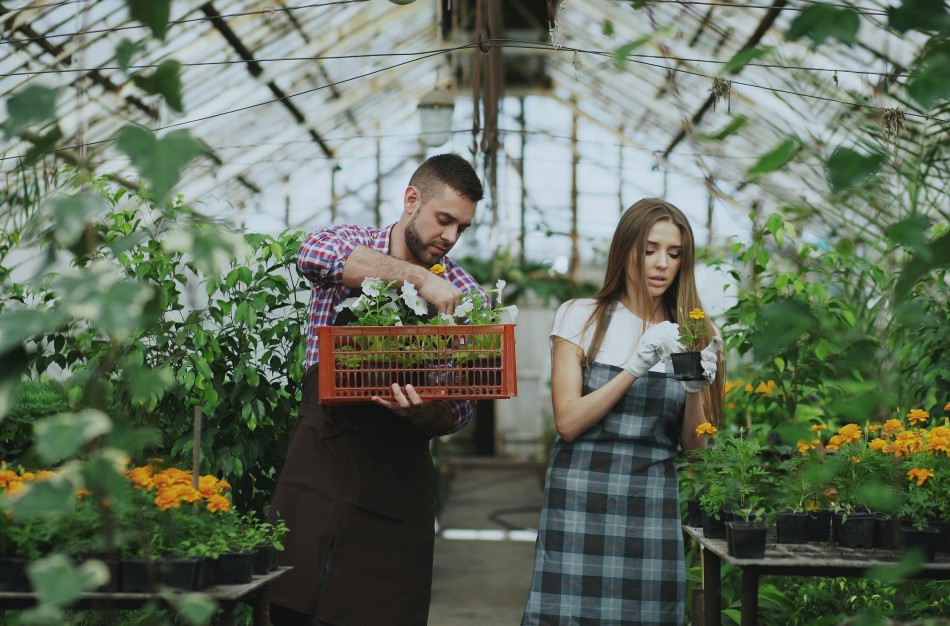 Naujovė žemės ūkio sektoriui – interaktyvus kooperatyvų žemėlapis