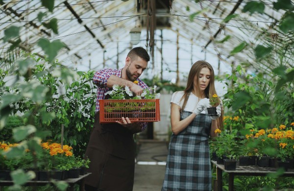 Naujovė žemės ūkio sektoriui – interaktyvus kooperatyvų žemėlapis