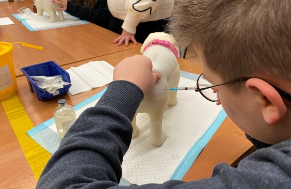 Startavo iniciatyva ,,Kryptis – profesijų pasaulis 2026“. Vaikai kviečiami išbandyti tėvų profesijas 