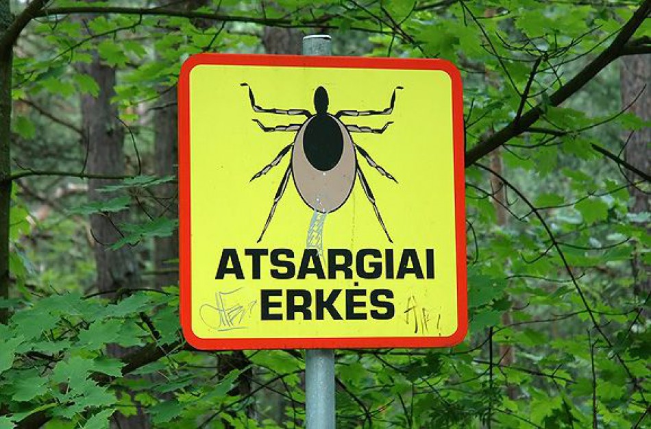 Laimo liga Jonavos rajone dažniau sirgo miesto gyventojai