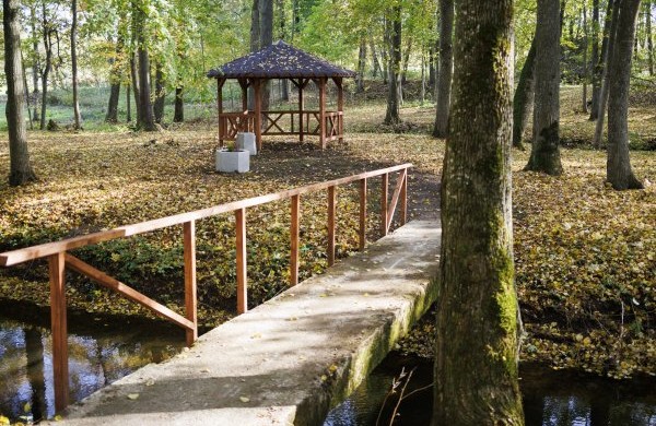 Naujas žingsnis gamtos išsaugojimui: saugomų teritorijų plėtra ir ekosistemų atkūrimas