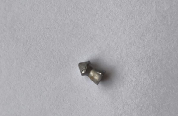 Skaitytoja: ,,Jonavos rajone šaudomi augintiniai"