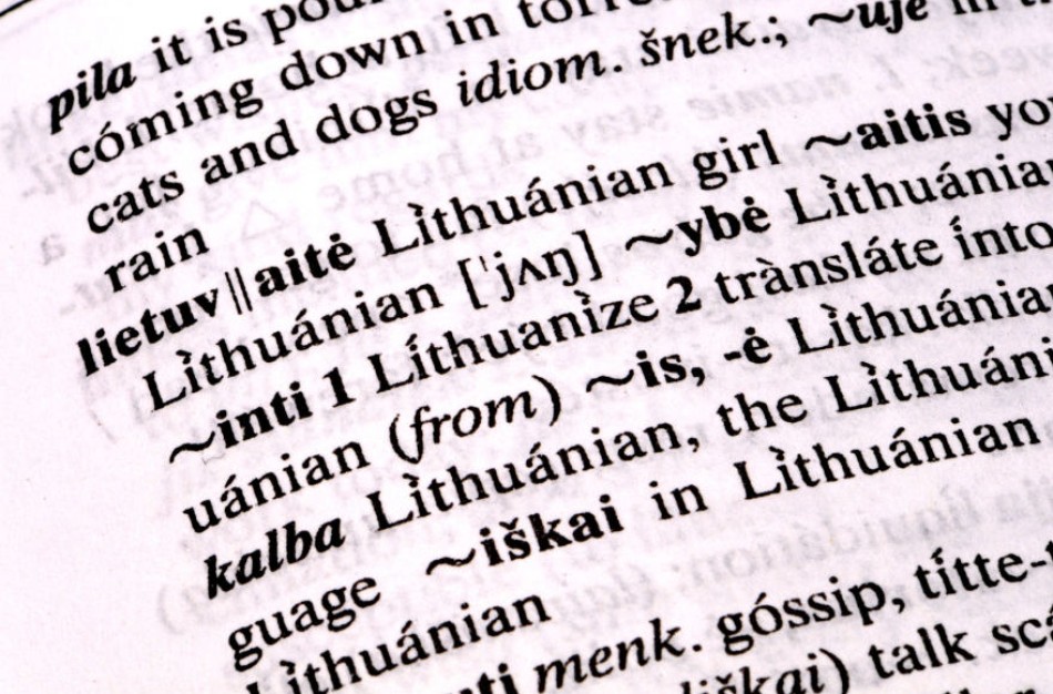 Seime - siūlymas griežčiau bausti darbų rašymo paslaugų teikėjus, pirkėjus, skelbėjus