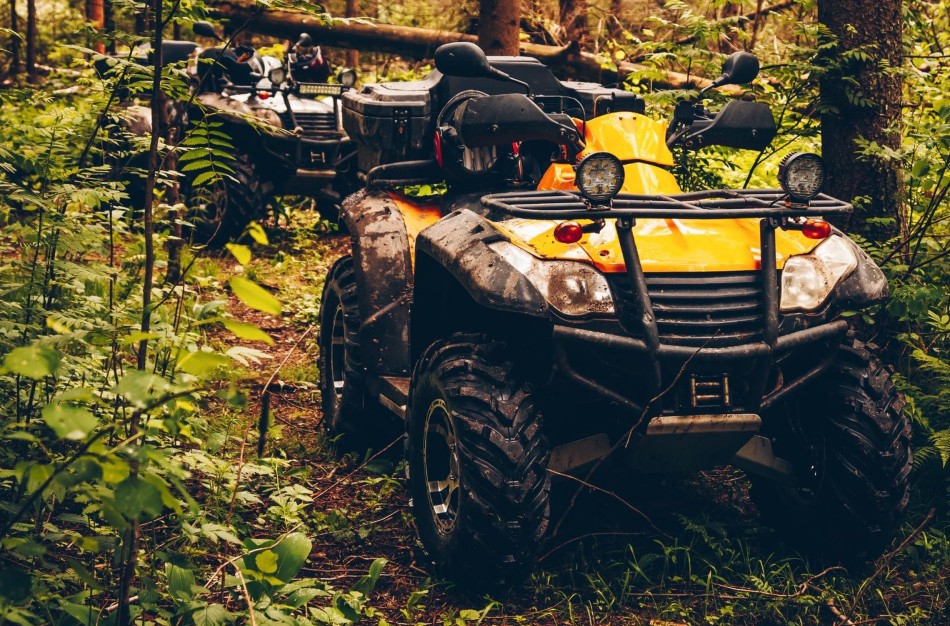 Nepaisysi taisyklių – mokėsi: aplinkosaugininkai griežtina kontrolę